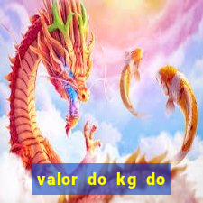 valor do kg do lacre de latinha 2024